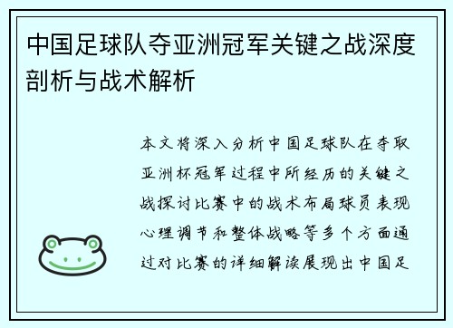 中国足球队夺亚洲冠军关键之战深度剖析与战术解析