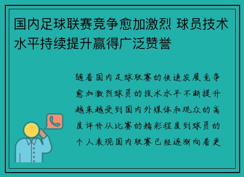 国内足球联赛竞争愈加激烈 球员技术水平持续提升赢得广泛赞誉