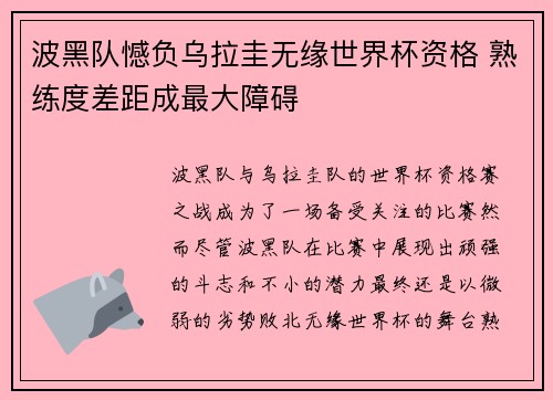 波黑队憾负乌拉圭无缘世界杯资格 熟练度差距成最大障碍 波黑队憾负乌拉圭无缘世界杯资格 熟练度差距成最大障碍